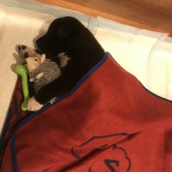 ミチ0221のカバー写真