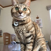 ナナ