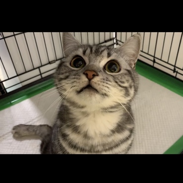 約半年♡「チュール！！もー我慢出来んっ！！」