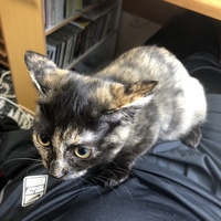 むぎ