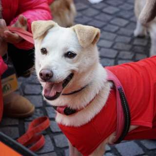 控えめな女の子☆なずな