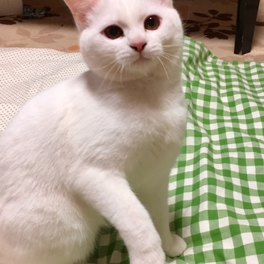の写真