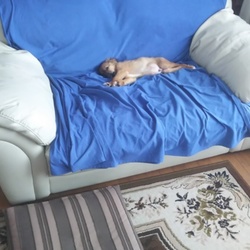 「独占・・・」サムネイル1