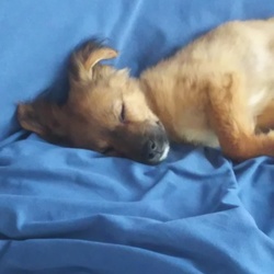 「独占・・・」サムネイル2