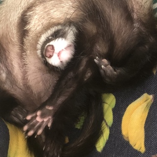 応募ありがとうございました。