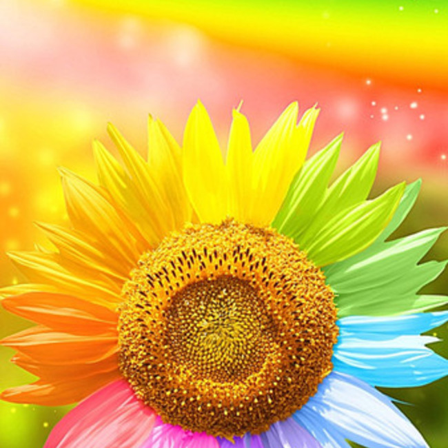 ゆりぽぉのカバー写真