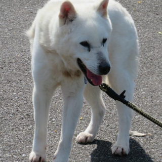 色白の笑顔のカワイイ女の子になりました