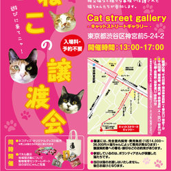 ねこの譲渡会@原宿