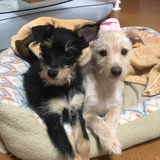 一時募集停止中です。