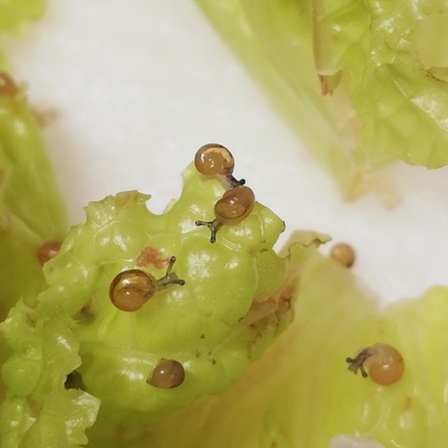 yuko26ssdのカバー写真