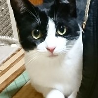 むーちゃん