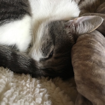 半目になってますよ〜Σ（・□・；）可愛いから許す(●´ω｀●)