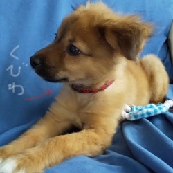 「正式に家族になりました」サムネイル1