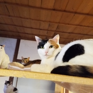 出戻りのため再募集のフジです