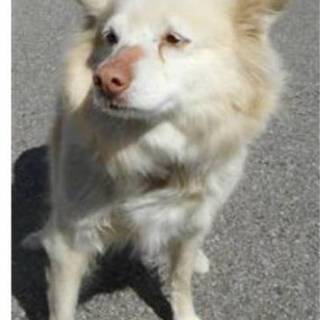 手が上がりました！がんばります！