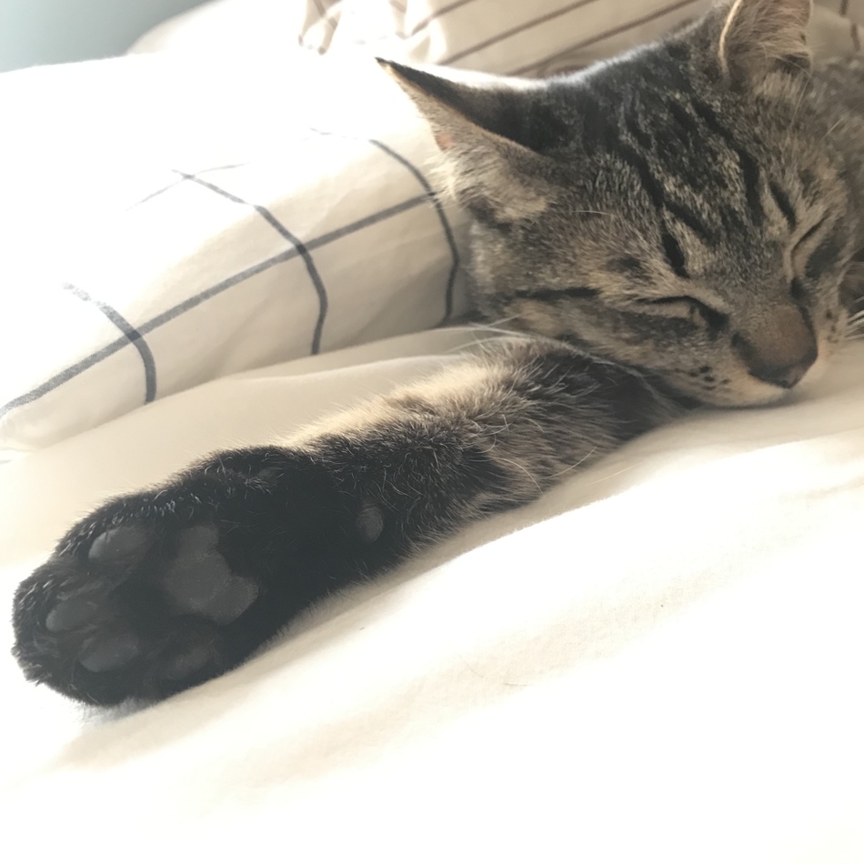 柳田ユズのカバー写真