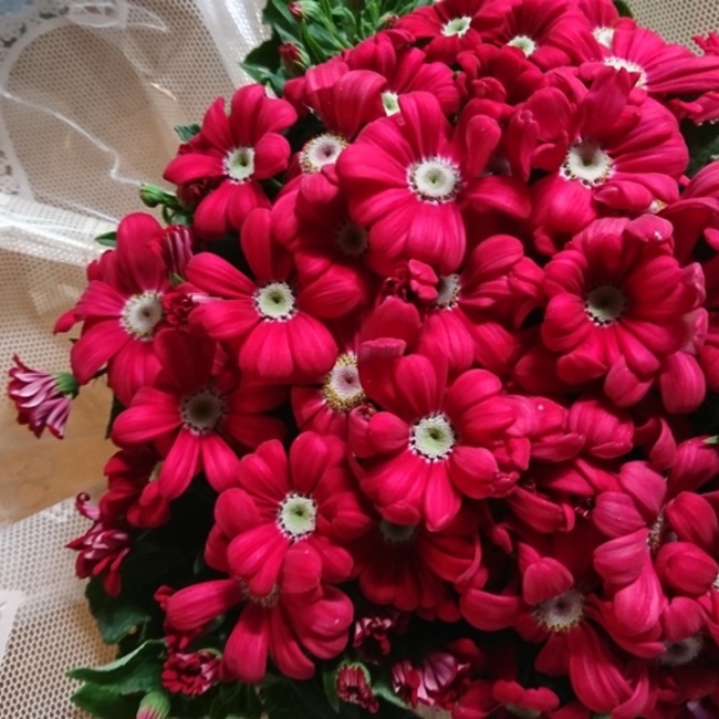 いずみ☆のカバー写真