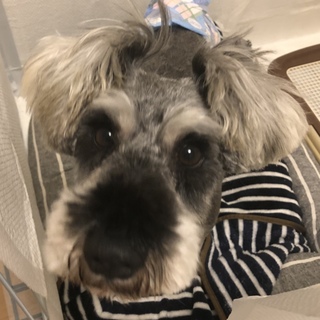 健康状態の項目をシッカリお読み下さい。