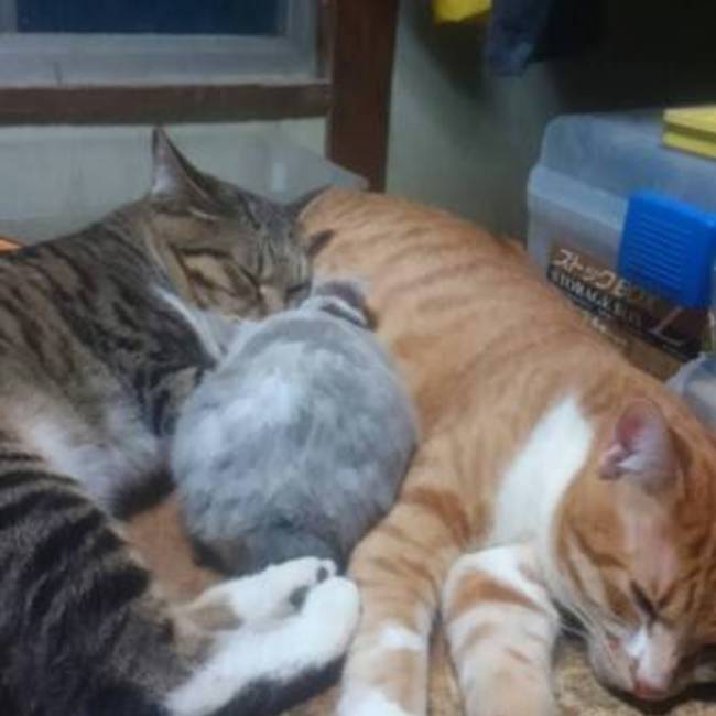 えいたろのカバー写真