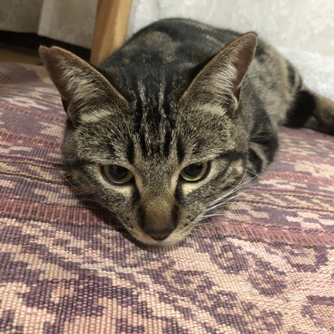 はーお腹空いたーw