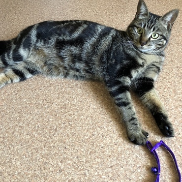 くつろぎポーズ