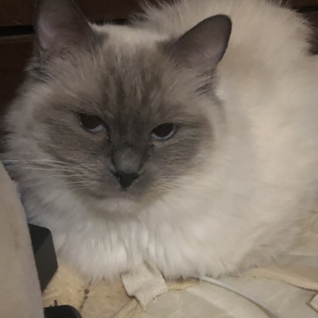 ころすけ。。のカバー写真