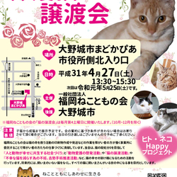 ねことも保護猫譲渡会