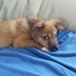 まだまだ・・・