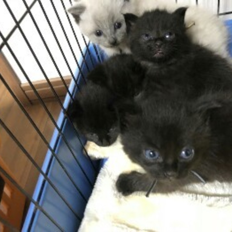 まれのカバー写真