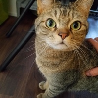 山口　ぎんちゃん