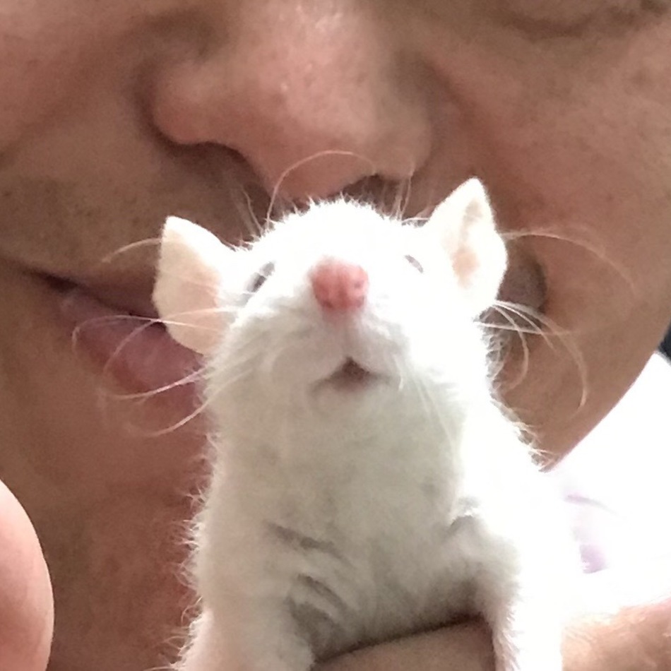 モチとぺぺのカバー写真