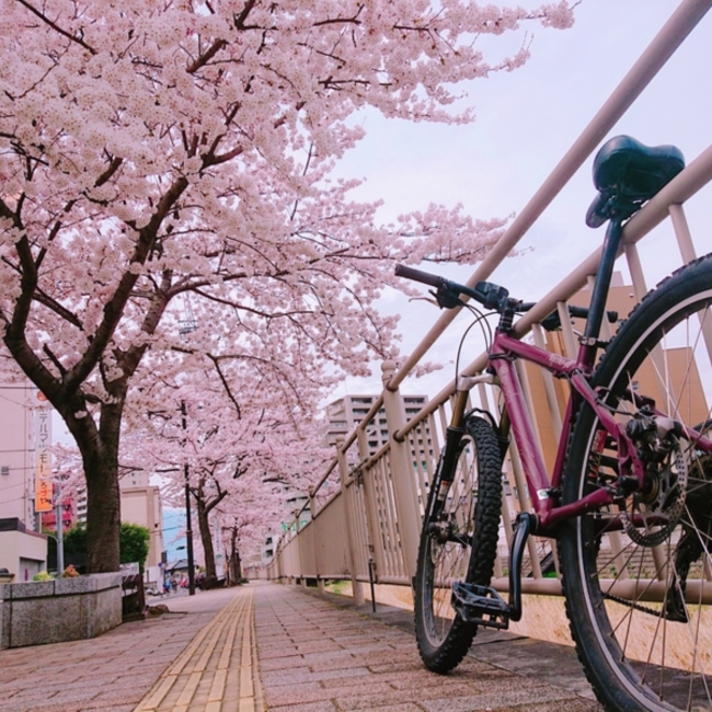 兼続のカバー写真