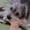 一回募集止めます。