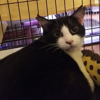 旧人馴れ修行中！　実は食いしん坊？な　キキ♀