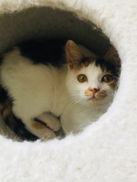 そろそろレディなお年ごろ ♪ サムネイル4