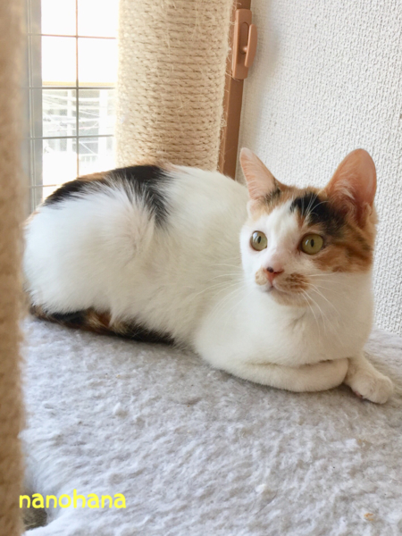 そろそろレディなお年ごろ ♪ サムネイル5