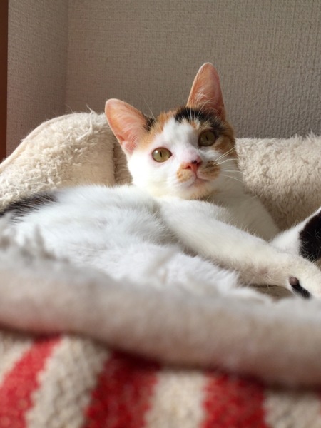 そろそろレディなお年ごろ ♪ サムネイル6