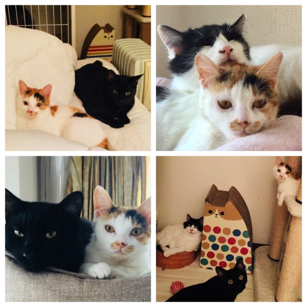 そろそろレディなお年ごろ ♪ サムネイル7