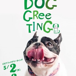 LECT DOG GLEETING