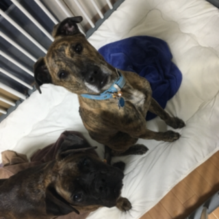 ありがとうございました。