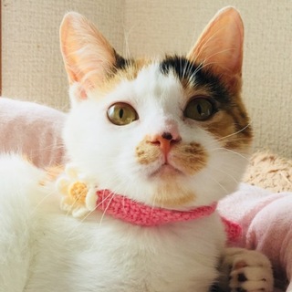 そろそろレディなお年ごろ ♪