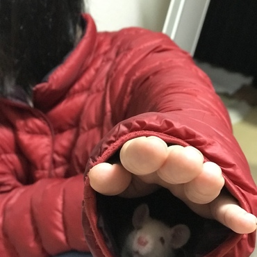 お気に入りの場所