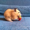 みみたろー