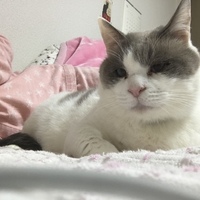 ソラ