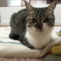 モエ