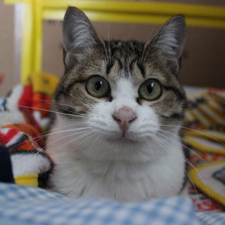 １才女のコ☆ゆず