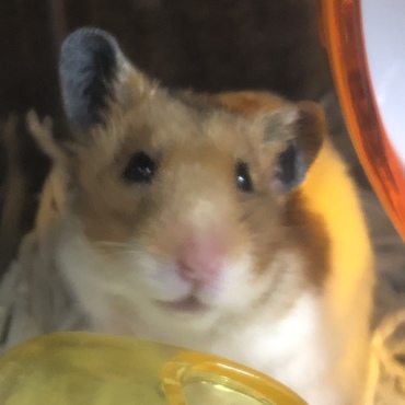 の写真