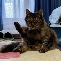 おはぎ