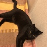 ひかひかし