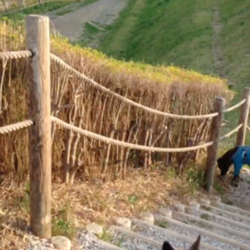 階段上り下りできてきた^∂v∂^ 